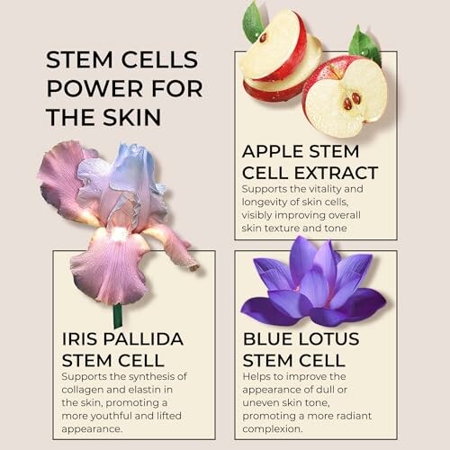 Infographic on stem cells for skin care with images of apple, iris pallida, and blue lotus.